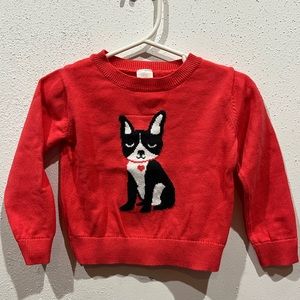 Boston terrier sweater